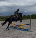 Ponette de sport taille D 5 ans – Le talent polyvalent!
