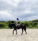 Ponette de sport taille D 5 ans – Le talent polyvalent!