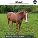 UBAYE - ONC - 16 ANS