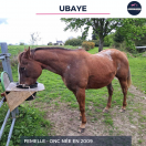 UBAYE - ONC - 16 ANS