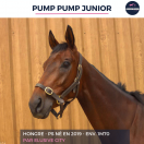 PUMP PUMP JUNIOR - PS - 6 ANS