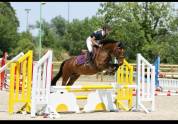 Poney D 