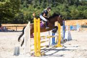 Poney D 
