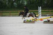 Ponette shetland Oncp