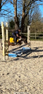 Ponette shetland Oncp