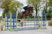 Hongre 8 ans CSO 