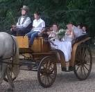 Voiture à cheval vis à vis