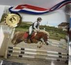 Poney pie 