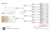 Cheval PRE noir 3 ans