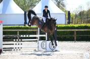Cheval 5ans 