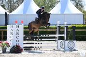 Cheval 5ans 