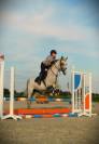 Braaf Allrounder te koop 