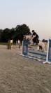 Braaf Allrounder te koop 