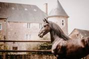 Poulain frison PP 