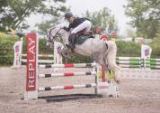 Poney de sport à vendre ou à louer