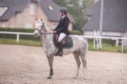 Poney de sport à vendre ou à louer
