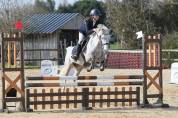 Poney de sport à vendre ou à louer