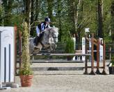 Poney de sport à vendre ou à louer