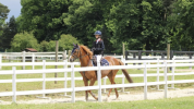 PONETTE DE SPORT taille :D  AS2