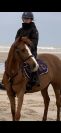 PONETTE DE SPORT D: gagnante TDA et Super AS en AS2