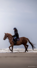 PONETTE DE SPORT D: gagnante TDA et Super AS en AS2