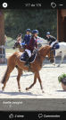 PONETTE DE SPORT D: gagnante TDA et Super AS en AS2