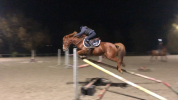 PONETTE DE SPORT D: gagnante TDA et Super AS en AS2
