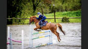 PONETTE DE SPORT D: gagnante TDA et Super AS en AS2