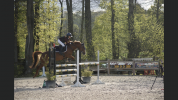 PONETTE DE SPORT D: gagnante TDA et Super AS en AS2