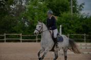 Petit cheval ONC de 9 ans 