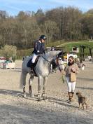 Mare Origin Recorded For sale 2015 Grey