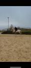 Cheval vendre - Prince hongre de 13 ans