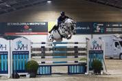 Cubriciones: KWPN de salto, capa appaloosa/ leopardo