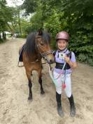 Belle Dartmoor de 7 ans 