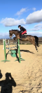Jument gagnante 130/135