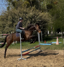 Plusieurs PS à vendre - petits prix