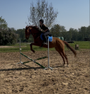 Plusieurs PS à vendre - petits prix