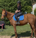 Plusieurs PS à vendre - petits prix