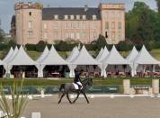 Très jolie jument KWPN de 7 ans Dressage 