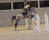Jeune, belle et bonne jument obstacle 6 ans