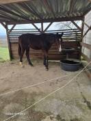 Onyx des arques sf par Victor Hugo 