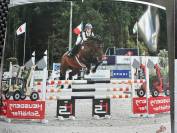 Top poney super professeur 