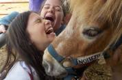Enseignant / animateur d’équitation H/F