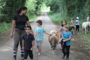 Enseignant / animateur d’équitation H/F