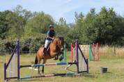 Enseignant / animateur d’équitation H/F
