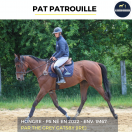PAT PATROUILLE - PS - 3 ANS