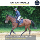 PAT PATROUILLE - PS - 3 ANS