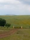 Pupilaje en libertad - Finca Dehesilla de los Cubones