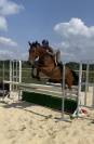 Hongre 4 ans 1m72