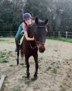 Se vende caballo Cruzado